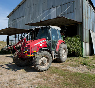 Transporting Hops to Combing Machine