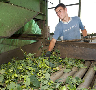 Roller Conveyor